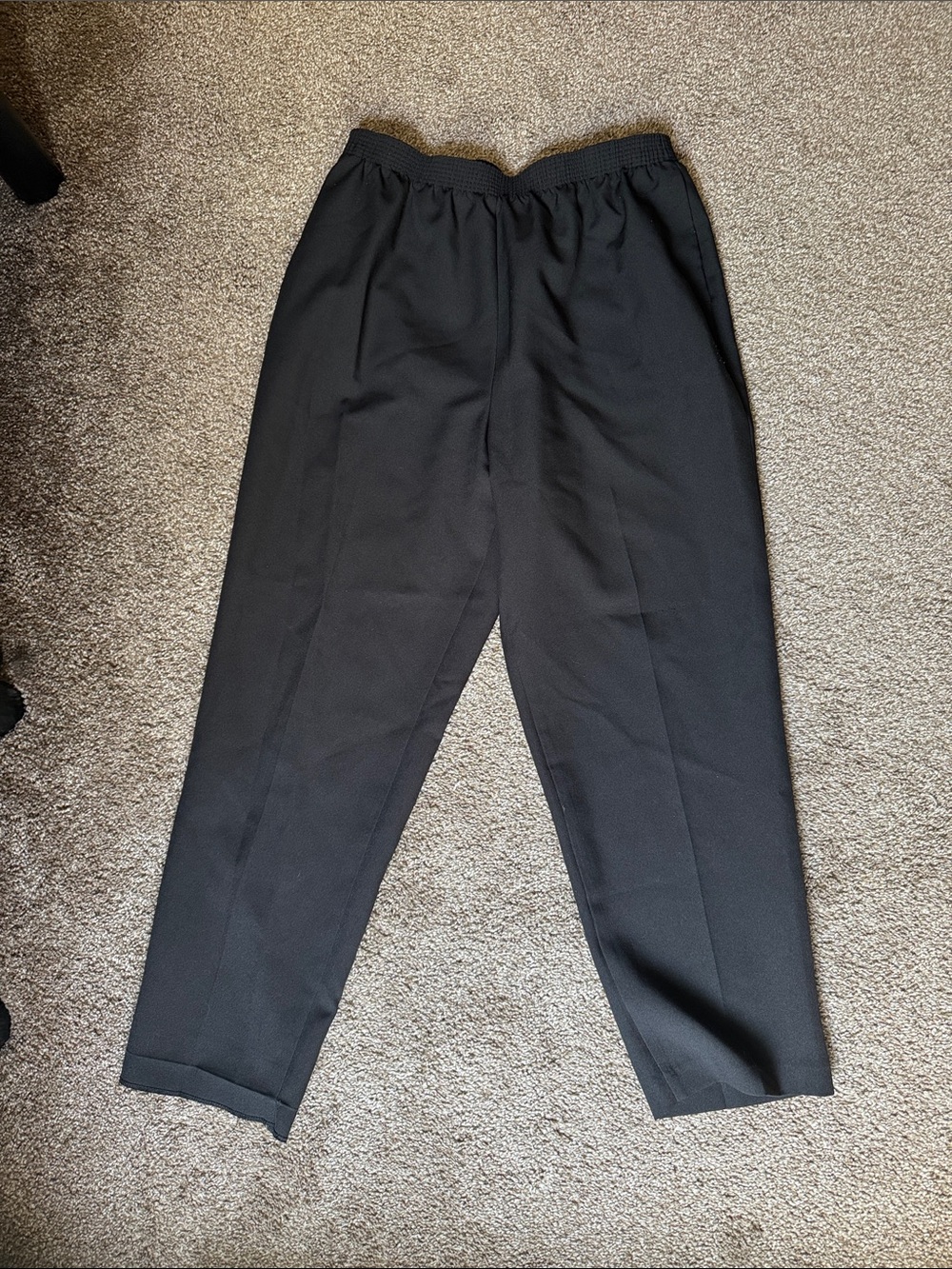 Allison Daley 16W Pants